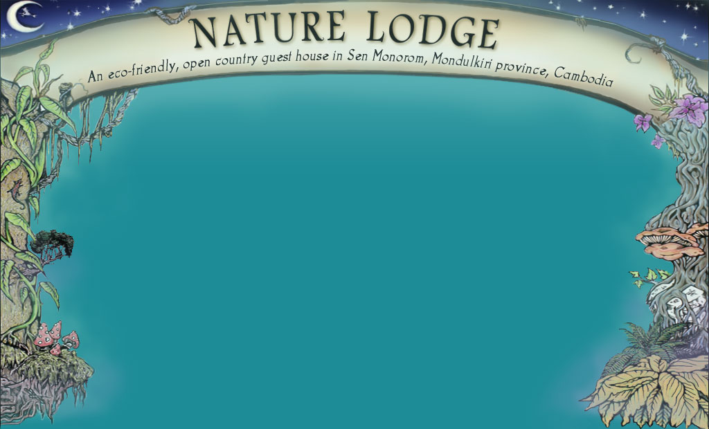 Nature_Lodge_Guest_House_Ho.jpg