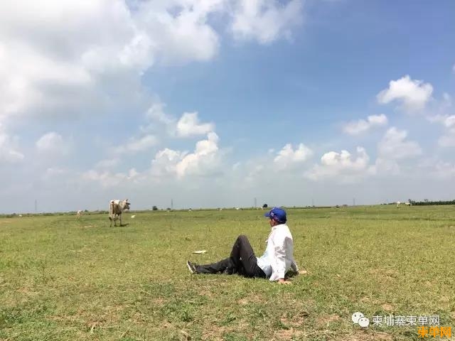 WeChat Image_20170426090724.jpg
