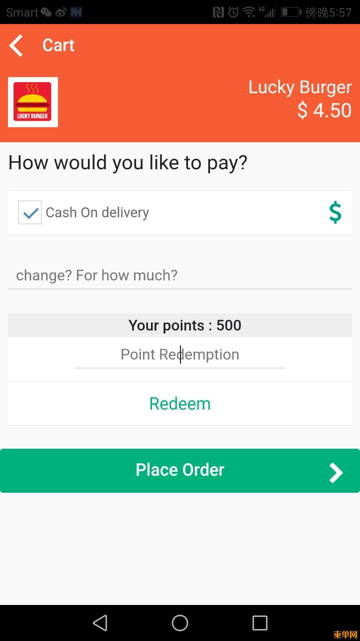 13打钩选择Cash On delivery货到付款，点击Place Order下订单就完成啦.jpg
