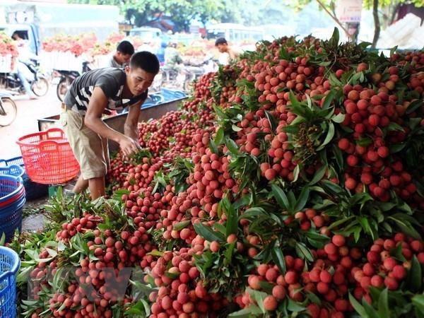 越南：未来10年跻身世界15大农业最发达国家行列！-3.jpg