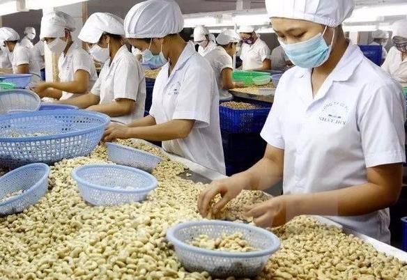 越南：未来10年跻身世界15大农业最发达国家行列！-5.jpg