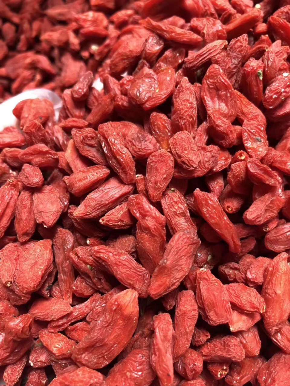 红枸杞