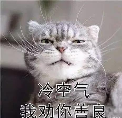 WeChat Image_20181231204601.jpg