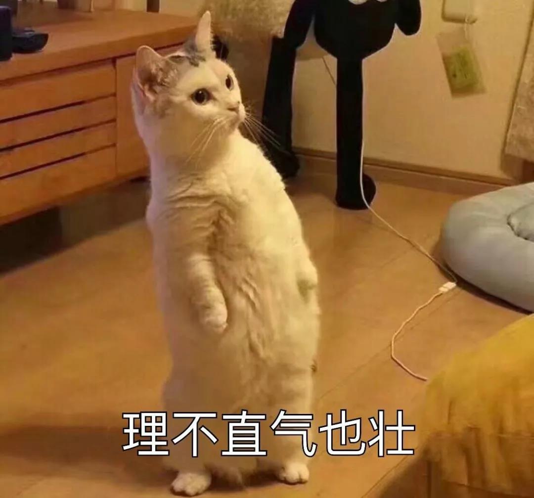 WeChat Image_20181231204710.jpg