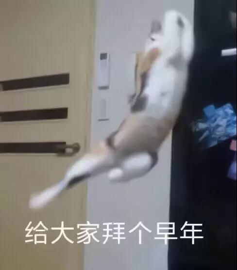 WeChat Image_20181231204723.jpg