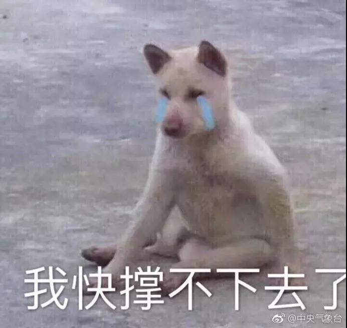 WeChat Image_20181231204714.jpg