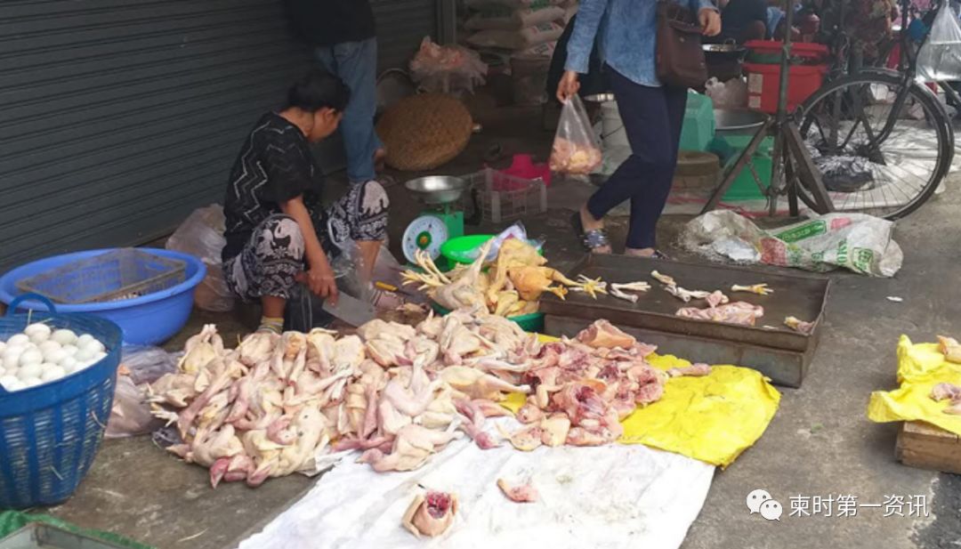 中国新年来临之际，注意预防禽流感病毒-1.jpg