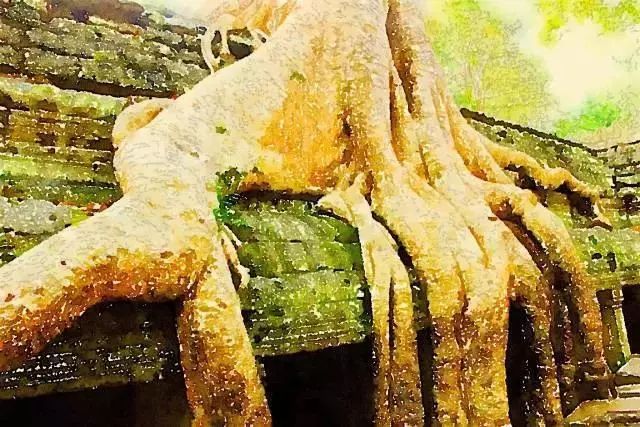 给我5分钟，让你爱上柬埔寨！-5.jpg