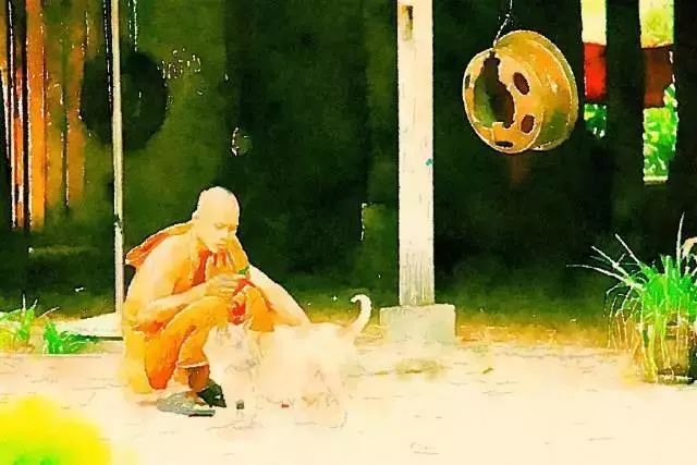 给我5分钟，让你爱上柬埔寨！-6.jpg