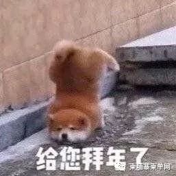 在柬埔寨过春节，千万要注意这些！-1.jpg