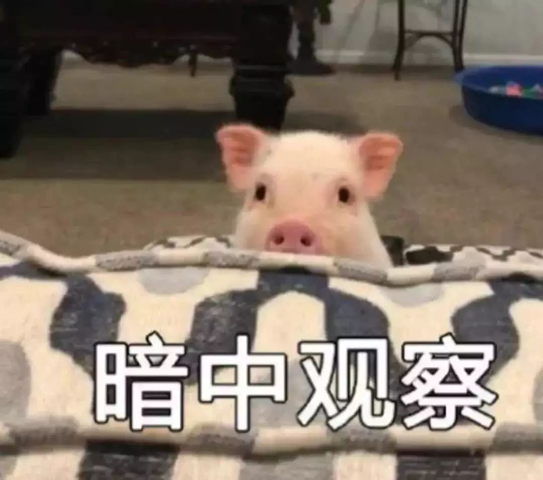 在柬埔寨过春节，千万要注意这些！-5.jpg