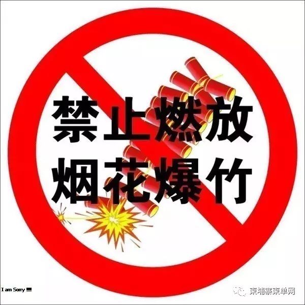 中国VS柬埔寨过年，有啥不一样~-10.jpg