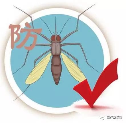 去柬埔寨旅游后高烧不止，确诊为“基孔肯雅热”病-9.jpg