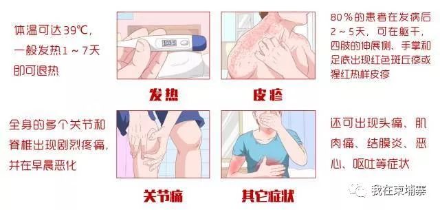 去柬埔寨旅游后高烧不止，确诊为“基孔肯雅热”病-8.jpg