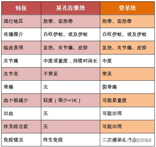 去柬埔寨旅游后高烧不止，确诊为“基孔肯雅热”病-5.jpg