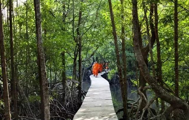 东方巴黎满血复活，现在的柬埔寨你即将高攀不起！-10.jpg