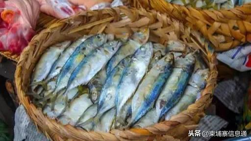 柬埔寨的重口味食物-1.jpg