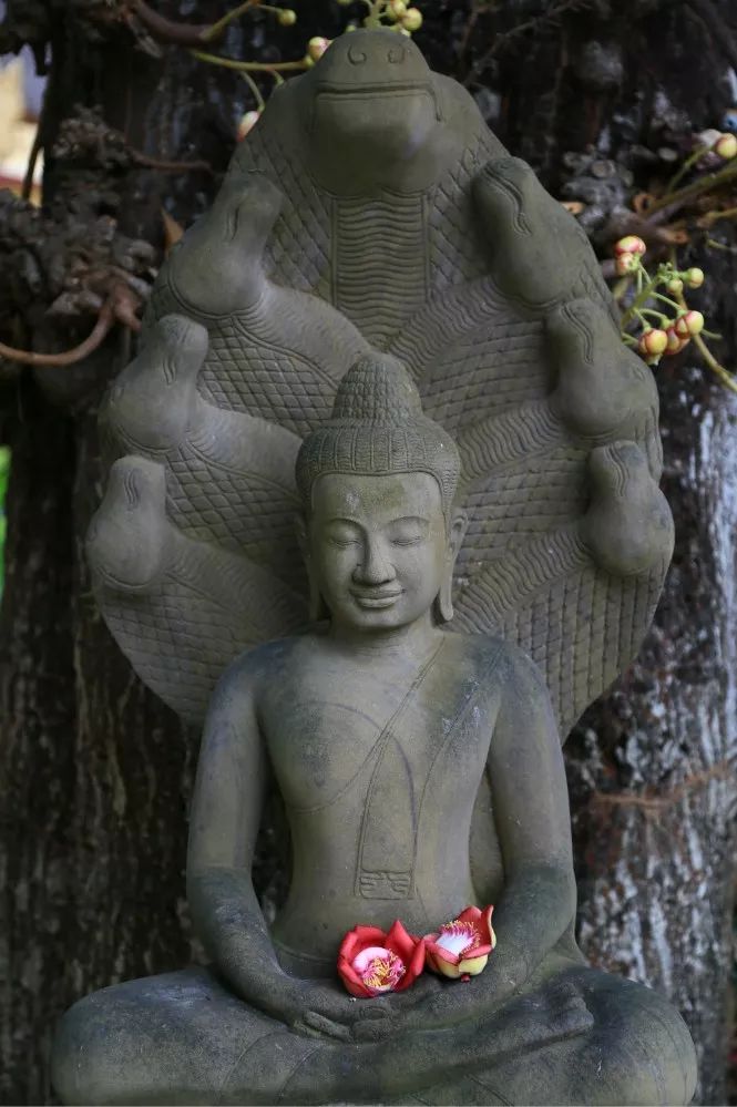 指南 | 柬埔寨金边：昔日的“东方巴黎”正在苏醒-10.jpg