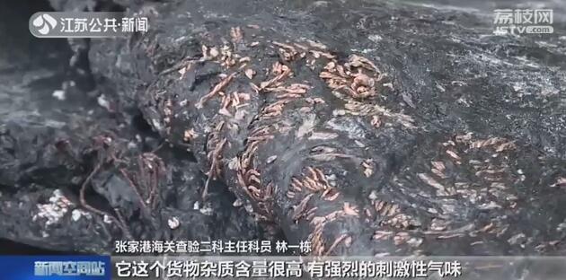 74吨刺鼻“洋垃圾”从泰国漂洋过海海关成功拦截退回-1.jpg
