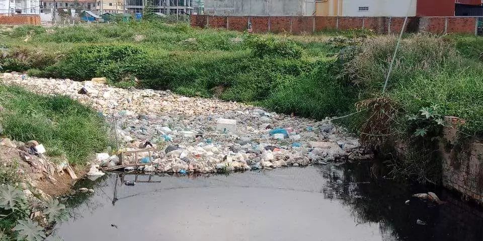 西港突现大量垃圾-1.jpg