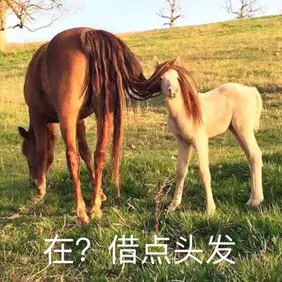 20190326_85851_1553611718342.png