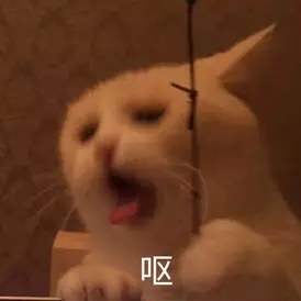 20190327_85851_1553681068008.png