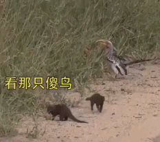 20190330_85851_1553947253270.gif