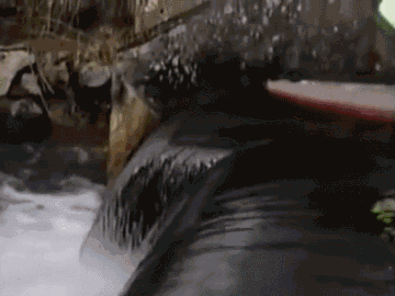 20190405_85851_1554439069661.gif