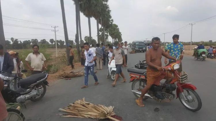 柬埔寨一男子与黄牛相撞身亡，黄牛“肇事逃逸”！-2.jpg