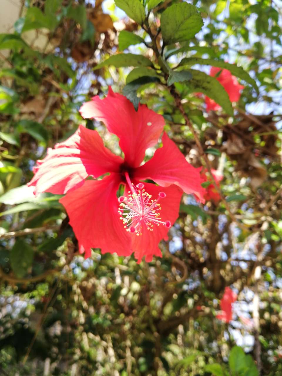 20190411_95054_1554984267586.jpg