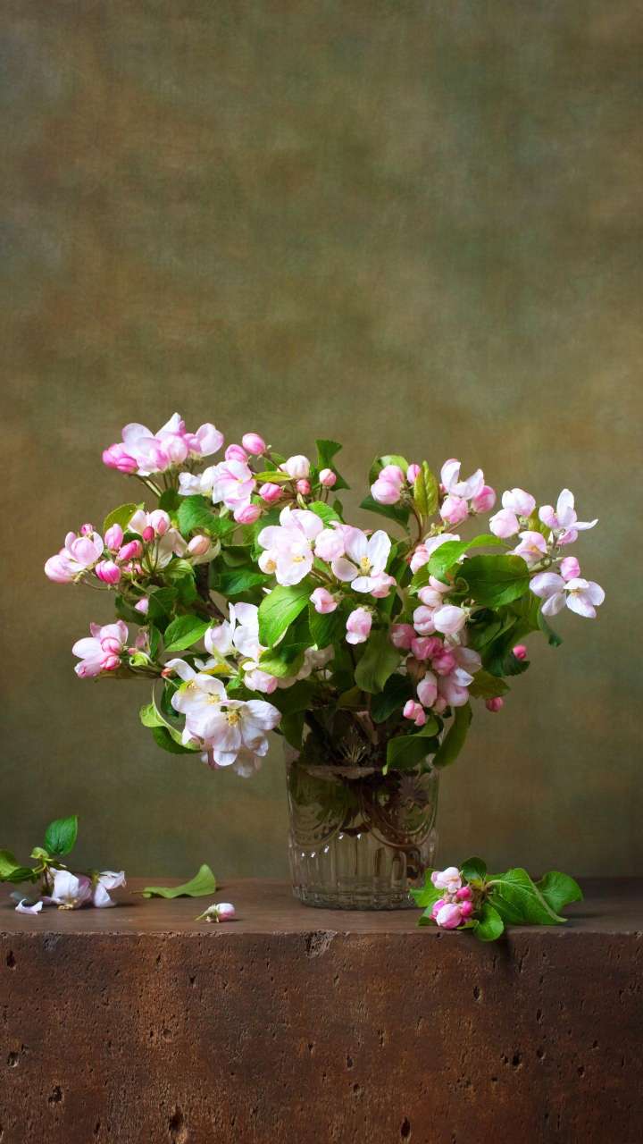 20190413_99494_1555095394690.jpg