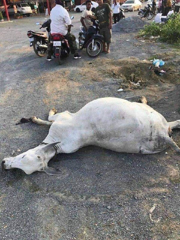 WeChat Image_20190414104737.jpg