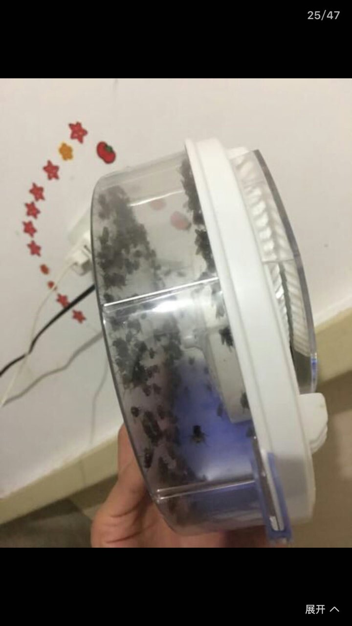20190419945311555659420748581.jpg