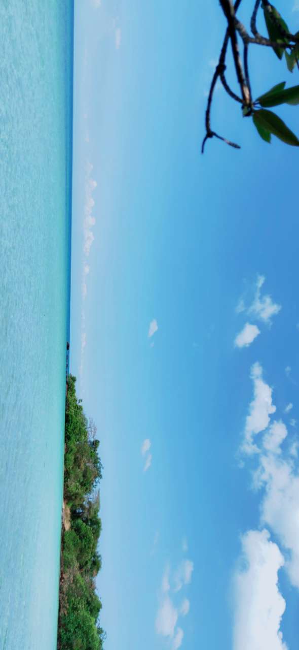 20190420_75779_1555724290560.jpg