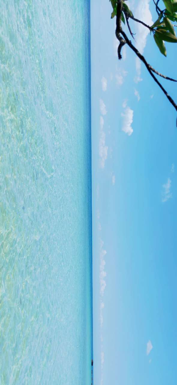 20190420_75779_1555724290318.jpg