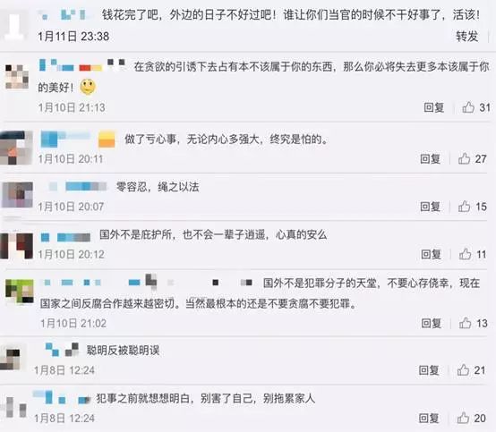 “百名红通”逃犯还想躲在国外？华侨华人：看你往哪儿藏-5.jpg