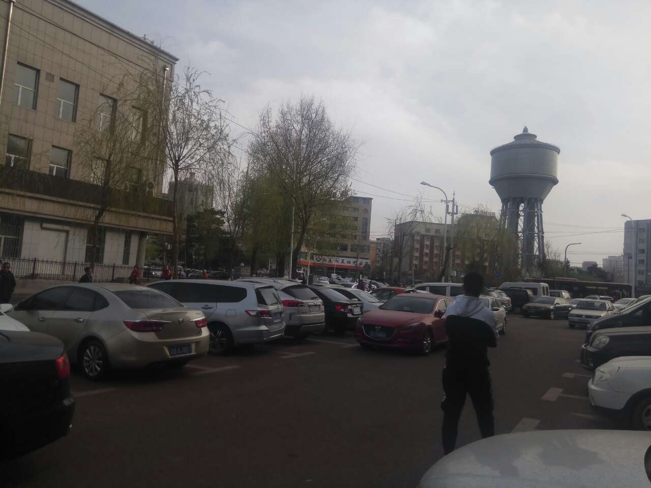 20190424_103257_1556098894551.jpg
