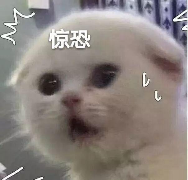 没查账还真不信！来深两月的山西小伙欠了银行999亿？-1.jpg