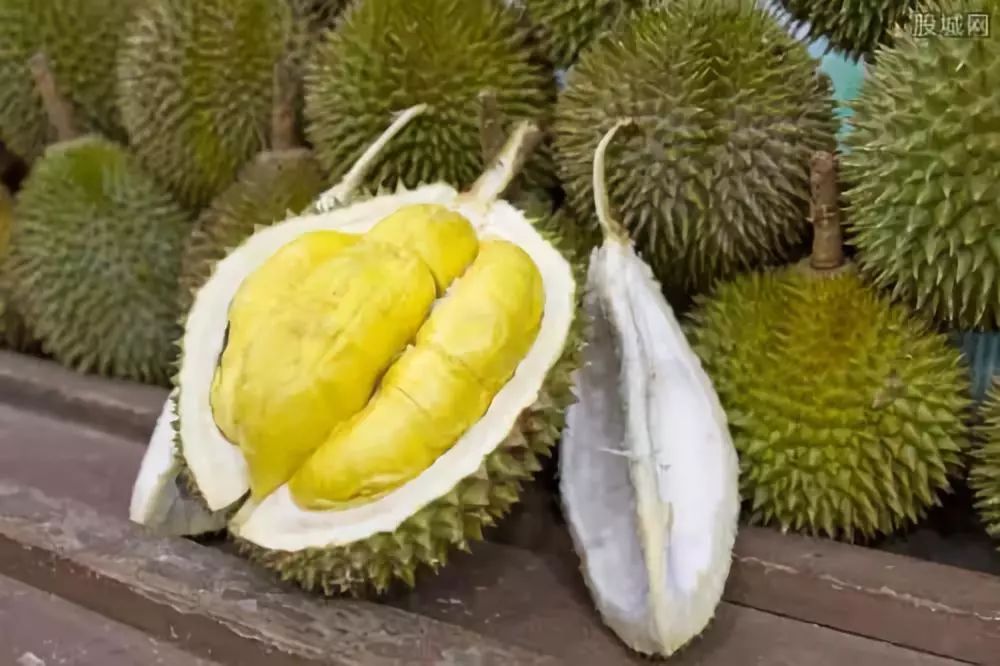 争抢中国榴莲市场！柬泰缅榴莲种植“火”！-3.jpg