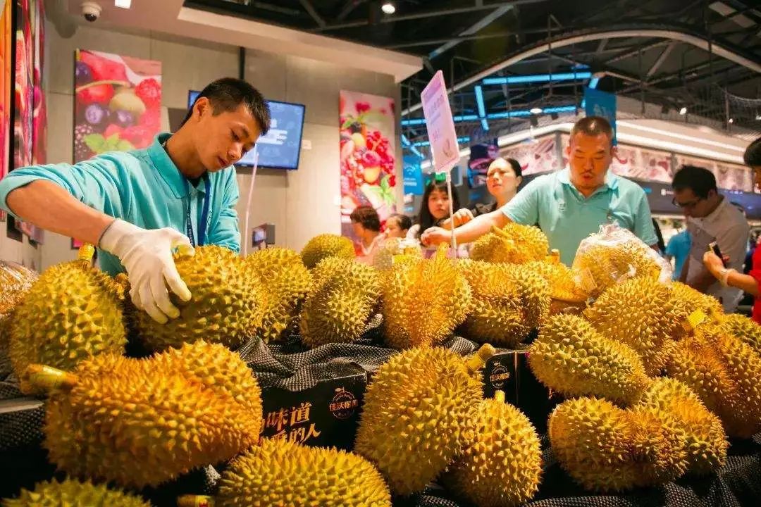 争抢中国榴莲市场！柬泰缅榴莲种植“火”！-1.jpg