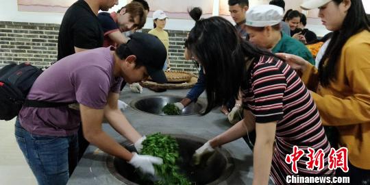 柬埔寨留学生体验贵州茶文化-4.jpg