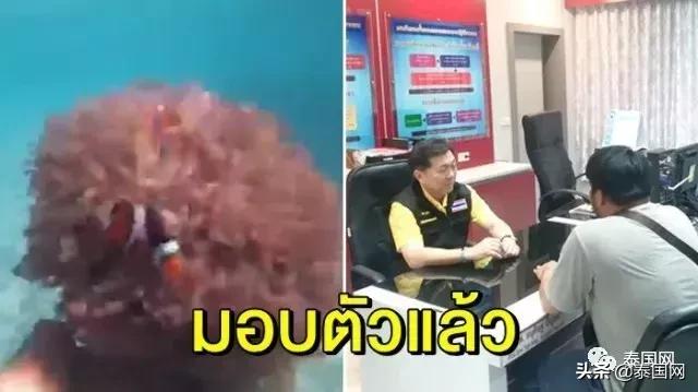 泰国男子抓海葵给中国游客观赏被骂！-5.jpg