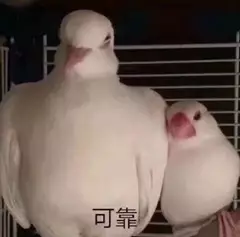 20190501_85851_1556720803075.png