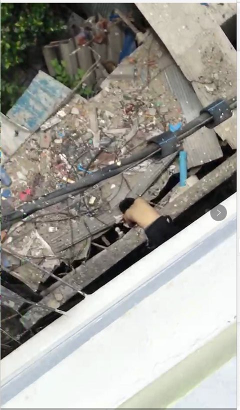 20190503567881556869737169163.jpg