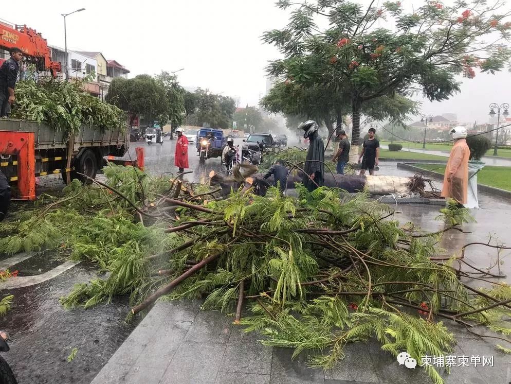 惊险！金边遭暴风雨突袭，巨型广告牌瞬间被掀翻！-7.jpg