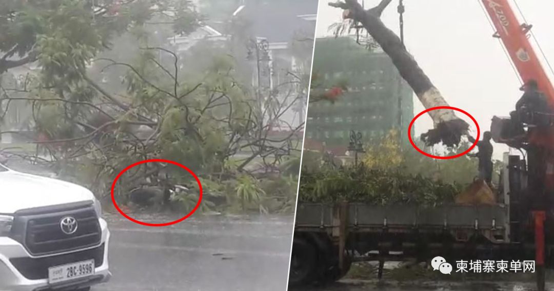 惊险！金边遭暴风雨突袭，巨型广告牌瞬间被掀翻！-10.jpg