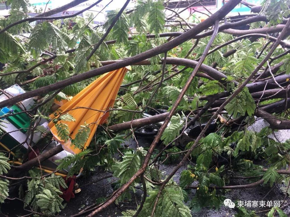 惊险！金边遭暴风雨突袭，巨型广告牌瞬间被掀翻！-9.jpg