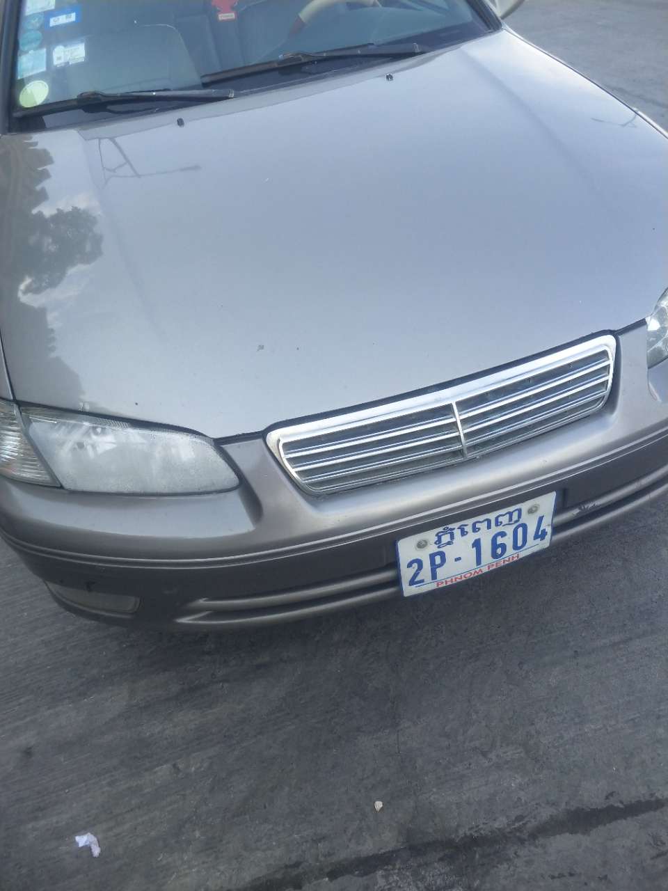 20190508_88846_1557279491833.jpg