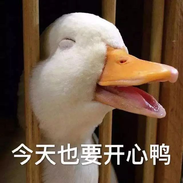 世界微笑日 | 海外生活太艰辛 但别忘了这些小确幸-12.jpg