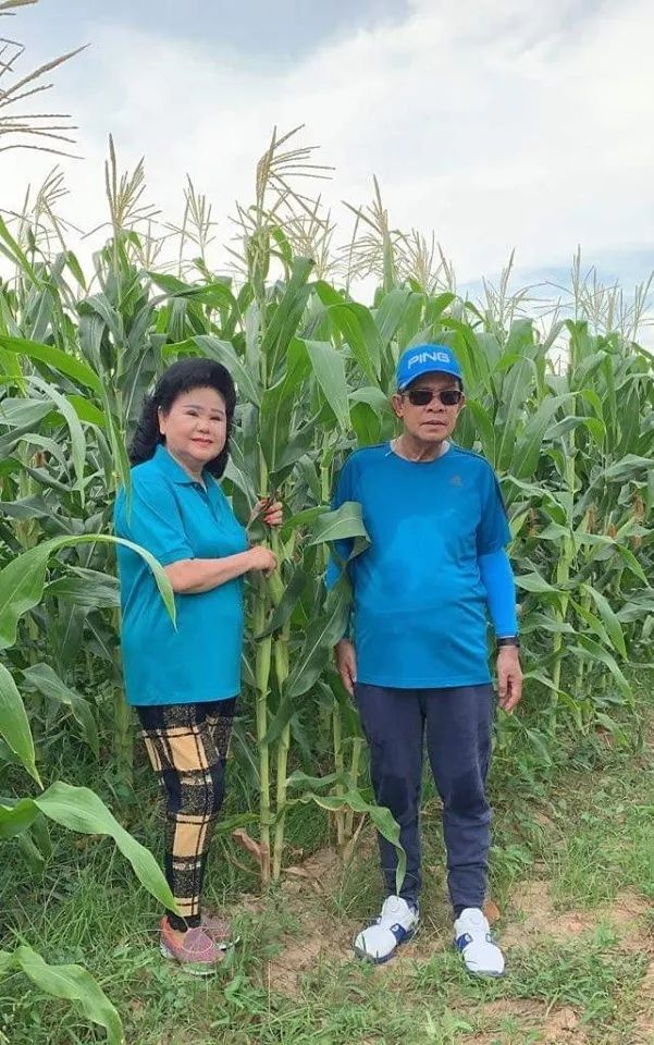 洪森竟徒手劈西瓜？看完又被撒了一把狗粮...（视频）-9.jpg